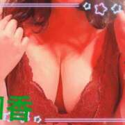 ヒメ日記 2025/03/26 10:00 投稿 和香【わか】 丸妻 西船橋店