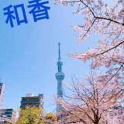 ヒメ日記 2025/04/12 09:01 投稿 和香【わか】 丸妻 西船橋店