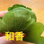 ヒメ日記 2025/05/07 09:02 投稿 和香【わか】 丸妻 西船橋店