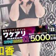 ヒメ日記 2025/05/22 10:00 投稿 和香【わか】 丸妻 西船橋店