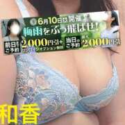 ヒメ日記 2025/06/04 12:31 投稿 和香【わか】 丸妻 西船橋店