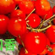 ヒメ日記 2025/06/25 09:06 投稿 和香【わか】 丸妻 西船橋店