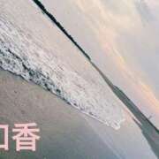 ヒメ日記 2025/08/20 09:07 投稿 和香【わか】 丸妻 西船橋店