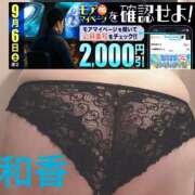ヒメ日記 2025/09/06 09:54 投稿 和香【わか】 丸妻 西船橋店