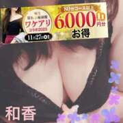 ヒメ日記 2025/11/27 10:27 投稿 和香【わか】 丸妻 西船橋店