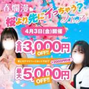 ヒメ日記 2026/04/02 14:18 投稿 和香【わか】 丸妻 西船橋店