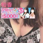 ヒメ日記 2026/04/03 10:12 投稿 和香【わか】 丸妻 西船橋店