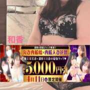 ヒメ日記 2026/04/11 15:57 投稿 和香【わか】 丸妻 西船橋店