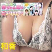 ヒメ日記 2026/05/10 10:07 投稿 和香【わか】 丸妻 西船橋店