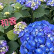 ヒメ日記 2026/06/08 10:07 投稿 和香【わか】 丸妻 西船橋店