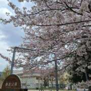 ヒメ日記 2025/04/08 10:21 投稿 みちる イエスグループ熊本 TSUBAKI(ツバキ)