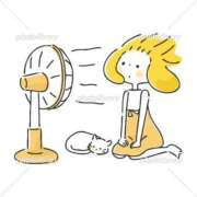 ヒメ日記 2025/08/31 17:39 投稿 仁美-ひとみ- 40分6,000円～廣島奥様チン電