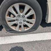 ヒメ日記 2025/08/04 09:36 投稿 ちはる ぼくらのデリヘルランドin久喜店