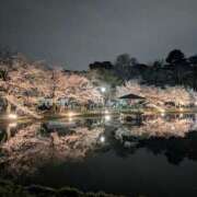 ヒメ日記 2026/04/09 13:06 投稿 ちはる ぼくらのデリヘルランドin春日部・久喜店