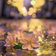 ヒメ日記 2025/01/27 20:16 投稿 水樹穂香 五十路マダムエクスプレス神戸店(カサブランカグループ)