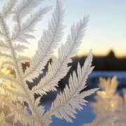 ヒメ日記 2025/02/18 21:28 投稿 水樹穂香 五十路マダムエクスプレス神戸店(カサブランカグループ)