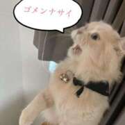 ヒメ日記 2025/01/29 16:10 投稿 シュガー Cawaiiハイ！スクールリターンズ