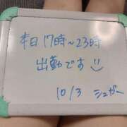 ヒメ日記 2025/10/03 16:33 投稿 シュガー Cawaiiハイ！スクールリターンズ