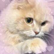 ヒメ日記 2026/02/02 13:27 投稿 シュガー Cawaiiハイ！スクールリターンズ