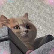 シュガー お久しぶり(๑•᎑•๑) Cawaiiハイ！スクールリターンズ