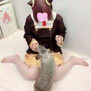 ヒメ日記 2025/10/14 15:18 投稿 あーにゃ ぷるりんクエスト上野浅草鶯谷秋葉原デリヘル王国