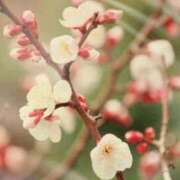 ヒメ日記 2026/02/26 22:21 投稿 まゆき Ace(エース)