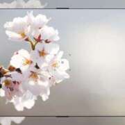 まゆき 出勤♡♡ Ace(エース)