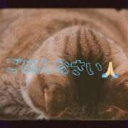 ヒメ日記 2026/07/18 16:15 投稿 まゆき Ace(エース)