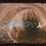 ヒメ日記 2026/07/18 16:44 投稿 まゆき Ace(エース)
