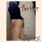 ヒメ日記 2025/04/03 15:35 投稿 ふうか 夢心地