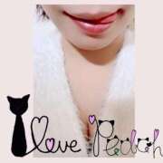 ヒメ日記 2025/07/12 11:05 投稿 ふうか 夢心地