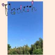 ヒメ日記 2025/07/23 08:41 投稿 ふうか 夢心地