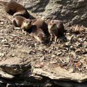 ヒメ日記 2026/02/05 19:21 投稿 ふうか 夢心地