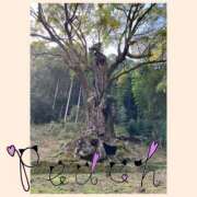 ヒメ日記 2026/03/10 18:35 投稿 ふうか 夢心地