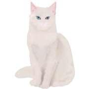 ヒメ日記 2025/07/13 14:55 投稿 ユキ 厚木オイルリンパ性感　厚木メンズエステm