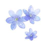 ヒメ日記 2025/10/25 19:04 投稿 ユキ 厚木オイルリンパ性感　厚木メンズエステm