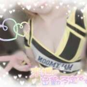 ヒメ日記 2026/03/28 21:00 投稿 ユキ 厚木オイルリンパ性感　厚木メンズエステm