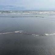 ヒメ日記 2026/04/08 20:00 投稿 ユキ 厚木オイルリンパ性感　厚木メンズエステm