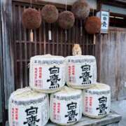 ヒメ日記 2026/04/05 17:07 投稿 るか Grace東京