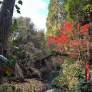 ヒメ日記 2024/12/07 08:51 投稿 咲(えみ) グランドオペラ福岡