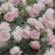 ヒメ日記 2025/01/23 15:02 投稿 咲(えみ) グランドオペラ福岡