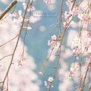 ヒメ日記 2025/03/18 10:41 投稿 咲(えみ) グランドオペラ福岡