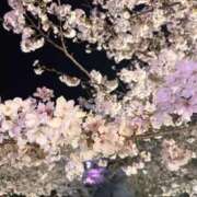 ヒメ日記 2025/04/03 17:51 投稿 咲(えみ) グランドオペラ福岡