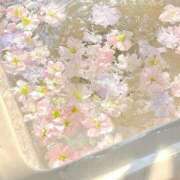 ヒメ日記 2025/04/05 12:23 投稿 咲(えみ) グランドオペラ福岡