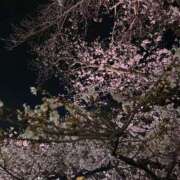 ヒメ日記 2025/04/10 23:29 投稿 咲(えみ) グランドオペラ福岡