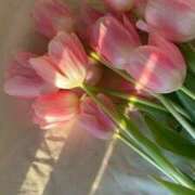 ヒメ日記 2025/05/02 16:51 投稿 咲(えみ) グランドオペラ福岡