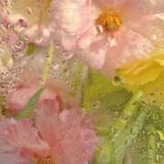 ヒメ日記 2025/06/03 11:51 投稿 咲(えみ) グランドオペラ福岡