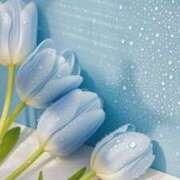 ヒメ日記 2025/06/11 20:36 投稿 咲(えみ) グランドオペラ福岡