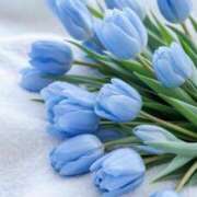 ヒメ日記 2025/06/13 00:51 投稿 咲(えみ) グランドオペラ福岡