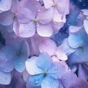 ヒメ日記 2025/06/17 00:03 投稿 咲(えみ) グランドオペラ福岡